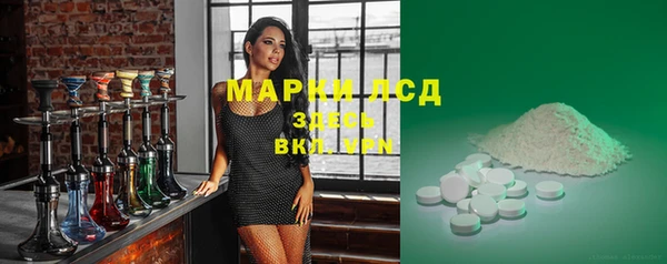 сатива Балахна