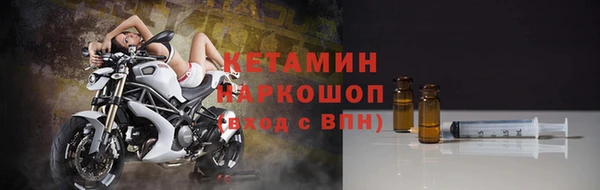сатива Балахна