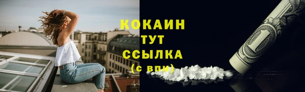 спайс Баксан