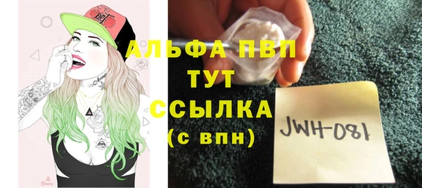 спайс Баксан
