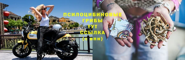 спайс Баксан