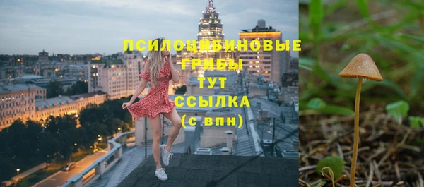 спайс Баксан