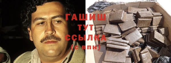 сатива Балахна